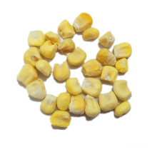 Natural Frozen Sweet Corn Factory Supply Best Price